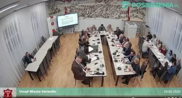 Miasto stawia na adopcję i sterylizację