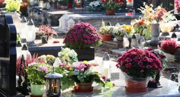 Odeszli, ale pozostaną w naszej pamięci (1 lutego – 19 marca)