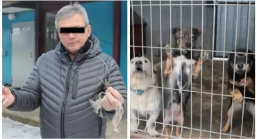 Właściciel schroniska w Sobolewie skazany! Poseł Litewka komentuje wyrok!