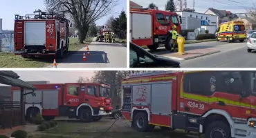 Powalone drzewa i pożary: kronika strażacka z powiatu garwolińskiego