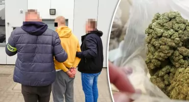 Mężczyzna z powiatu garwolińskiego aresztowany za handel narkotykami i uprawę konopi