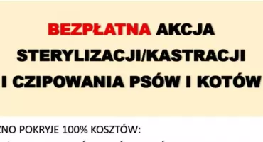 Ruszyła bezpłatna sterylizacja, kastracja i czipowanie psów i kotów