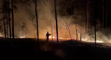 1,2 ha lasu w ogniu! Strażacy walczyli z żywiołem do północy
