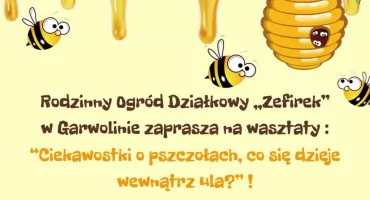 Dzieci poznają świat pszczół. Rodzinne warsztaty w ROD „Zefirek” w Garwolinie