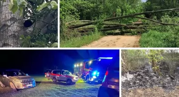 Wyciek substancji, beton na drodze i kot na drzewie - tydzień wyzwań dla straży pożarnej