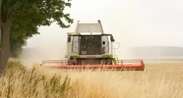 Coraz więcej małych gospodarstw rolnych w Gminie Górzno
