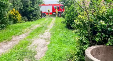 Strażacy ratowali psa uwięzionego w studni