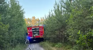 Pożar lasu. Strażacy walczyli z ogniem przez dwie godziny