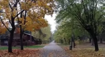 Alejki, Rycerska, Małpi Gaj - Wspólnota Gruntowa przekaże miastu 9 hektarów
