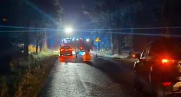 Peugeotem w drzewo. Interweniowały służby